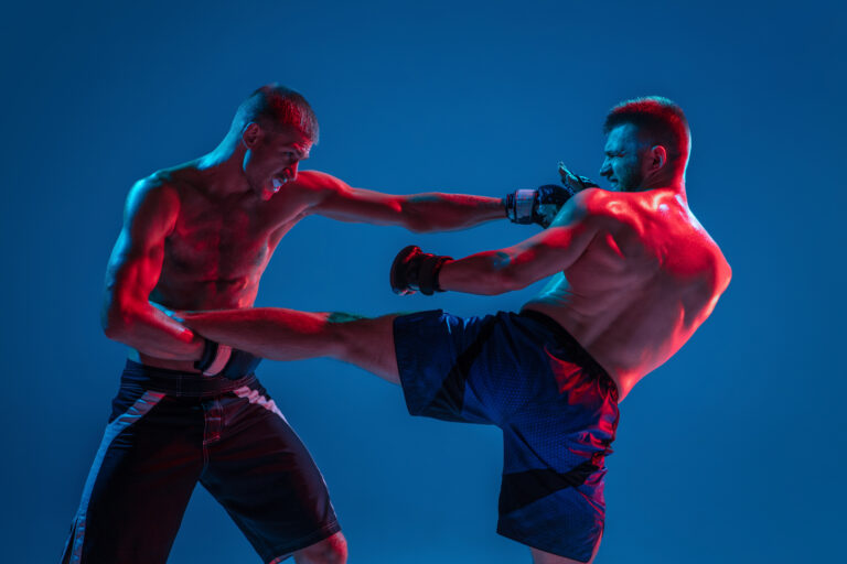 An Introduction To Combat Sports Styles